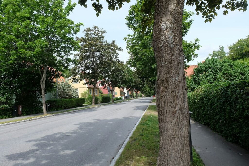 En lugn gata med hus och träd längs vägen